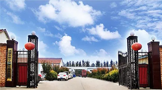 Discover Chaoyu Shelving