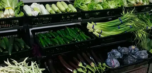 Fruit and Vegetable Shelf Case
